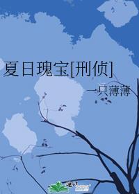 夏日瑰宝刑侦TXT