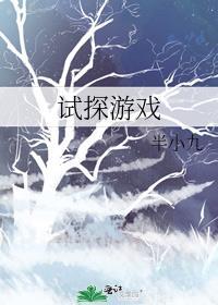关于试探的游戏