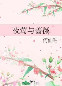 夜莺与蔷薇读后感50字