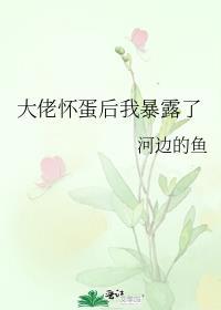 大佬怀蛋后我暴露了作者河边的鱼