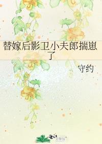 替嫁后影卫小夫郎揣崽了番外