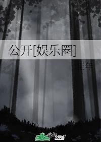 公开是什么意思