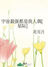 小寡妇和闷石匠最新章节更新时