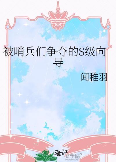 哨兵向导等级划分