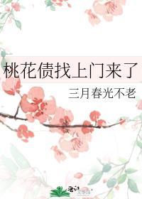 桃花债找上门来了TXT免费