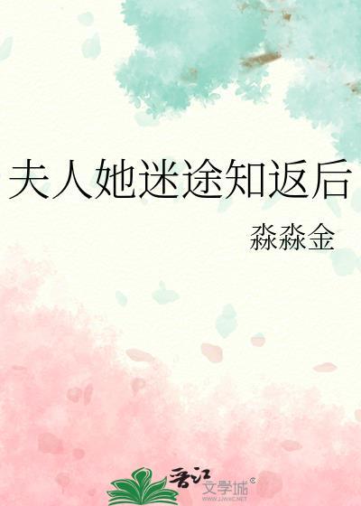 夫人路线