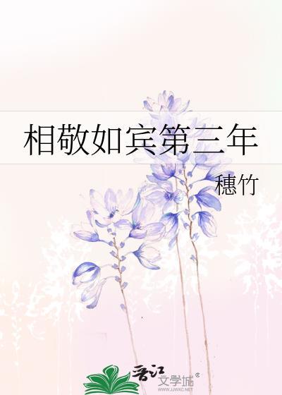 相敬如宾第三年番外