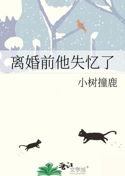 离婚前她失忆了