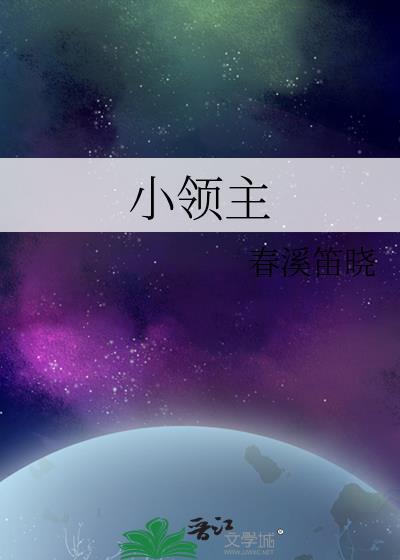 小领主讲的什么