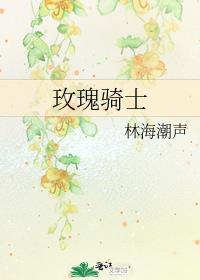玫瑰骑士电视剧免费播放