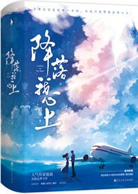 降落我心上类似