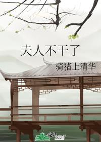 夫人不止一