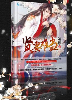 贤妻良母难为在线阅读