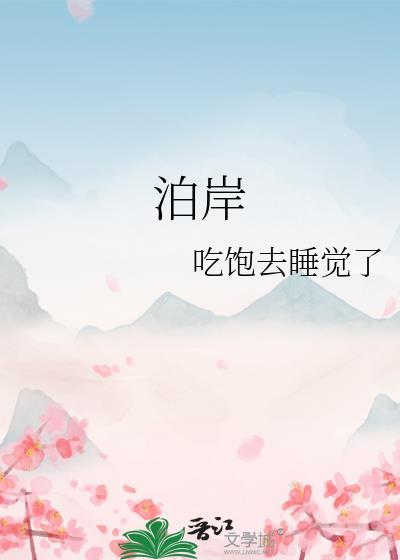 泊岸是什么意思