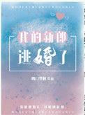 我的新郎逃婚了讲什么