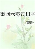 重生六零过日子重熙