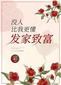 没人比我更懂强化无弹窗