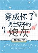 穿成怀了男主孩子的炮灰 作者樱桃爪