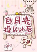 白月光掉马以后 笔趣阁