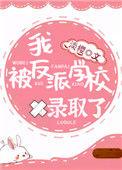 我被反派学校录取了txt资源