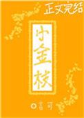 小金枝个人资料简介