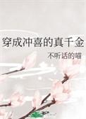 穿成冲喜妻