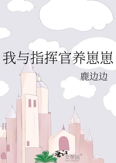 指挥官推荐