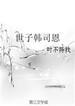 世子韩司恩剧情梗概