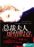 总裁夫人全文阅读