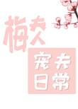 梅夫人宠夫日常简介