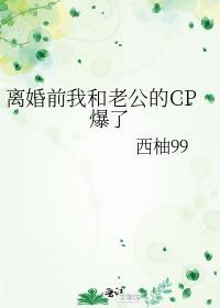 离婚前我和老公的cp爆了在线阅读