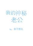 我的神秘老公免费阅读
