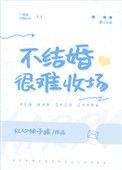 不结婚很难收场txt