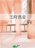 王府逃妾作者兮堂