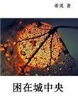 困在城中央书评