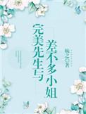 完美先生和差不多小姐原著
