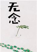 无念在线阅读