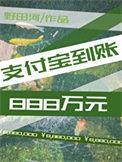 支付宝到账888万元格格党