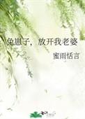 放开我老婆 作者蜜雨恬言