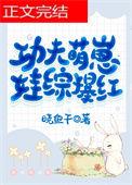 功夫小宝宝