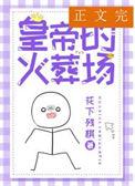 皇上去冷宫