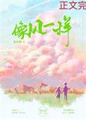像风一样周华健