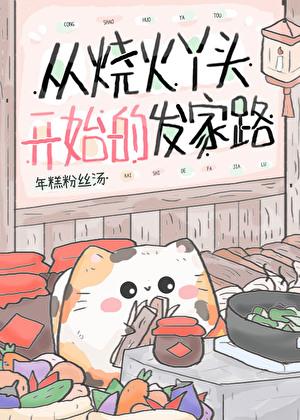 从烧火丫头开始的发家路TXT