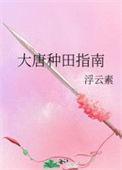 大唐种田升级系统