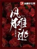 风月难逃缅甸佛爷免费阅读
