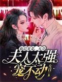 霸总宠妻排名
