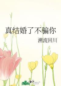 真结婚了不骗你讲的什么