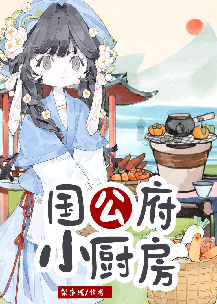 国公府小厨房好看吗