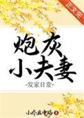 炮灰小夫妻发家日常免费观看