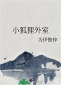 小狐狸dummy